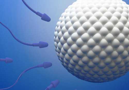 找人代生孩，补佳乐和地屈孕酮片怎么吃法     补佳乐和地屈孕酮片联合使用的功效