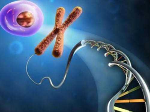 捐卵公司，备孕吃什么牌子的叶酸比较好？备孕叶酸选择